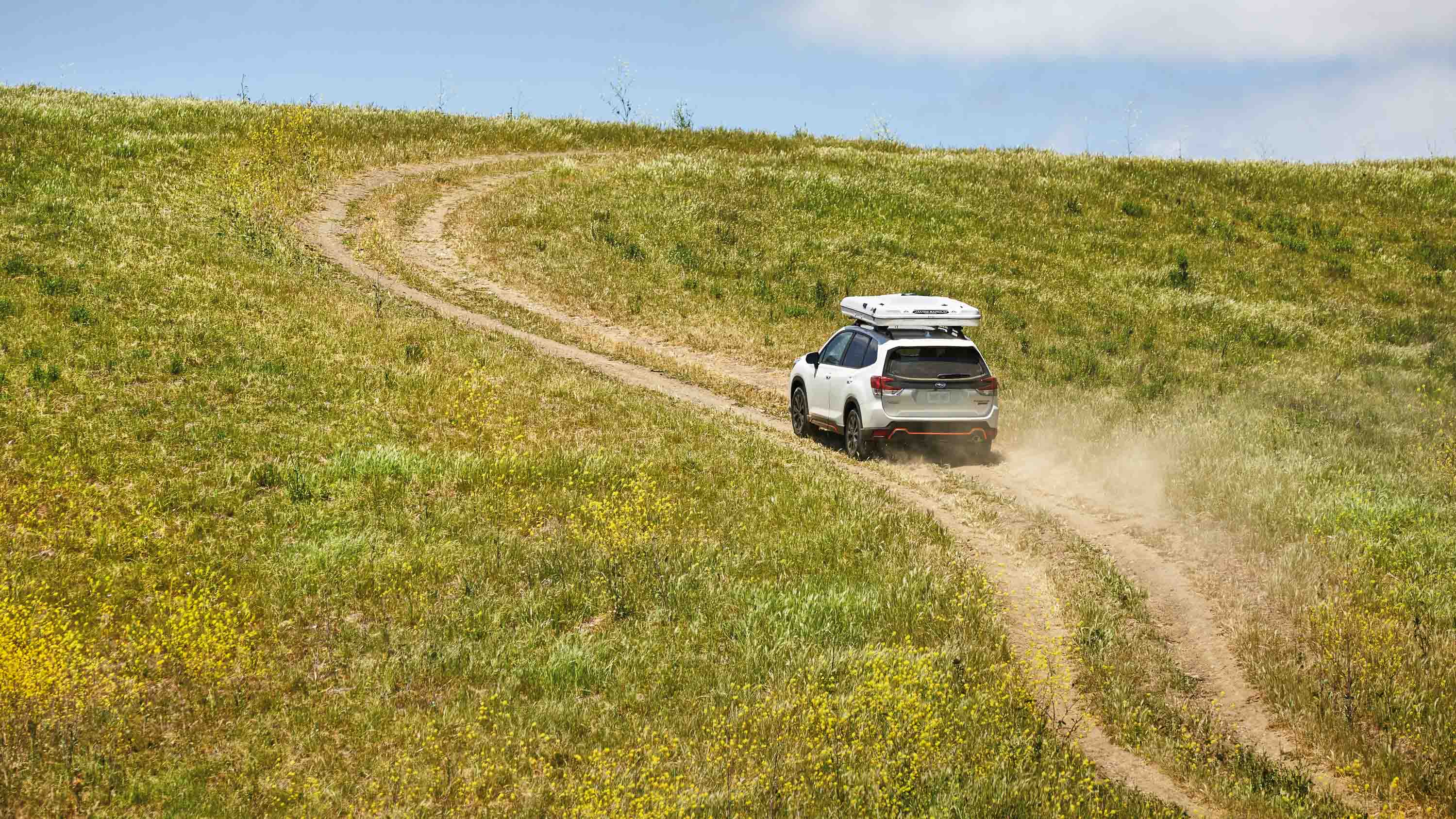 Jeff Stockwell - Subaru forester