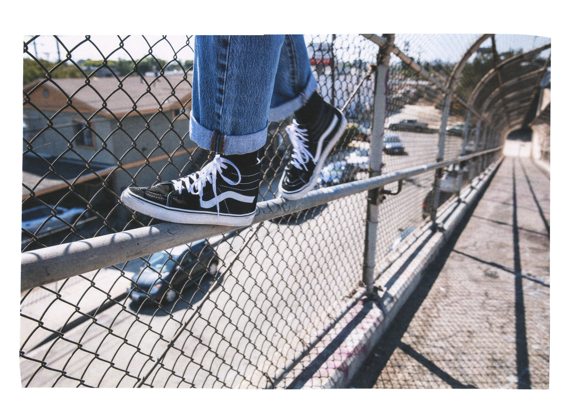 JS_vans--12